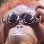 Profile Picture of David Ewart (@ewart995) on Instagram