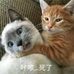Profile Picture of Grante Lam (@grante.lam.75) on Facebook