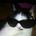 Profile Picture of Jacob Verallo (@Jacob-Verallo) on Facebook