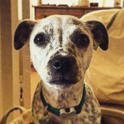 Profile Picture of Kyle Sherin (@KyleSherin) on Twitter
