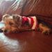 Profile Picture of Marlene Sgrott (@marlenesgrott) on Pinterest