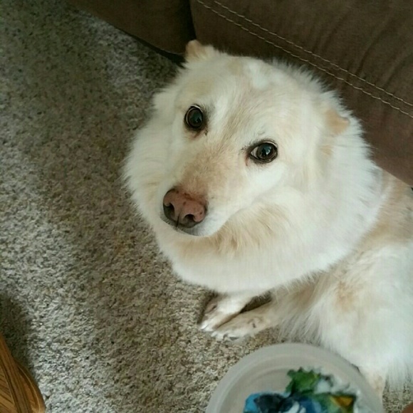 Profile Picture of Yong Jo (@hukebine) on Poshmark