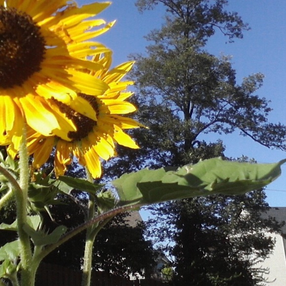 Profile Picture of John Stephenson (@jcs2015) on Poshmark