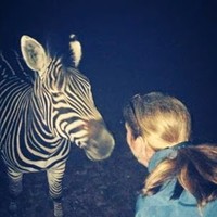 Profile Picture of Alison Hawkes (@alison-hawkes-5) on Quora