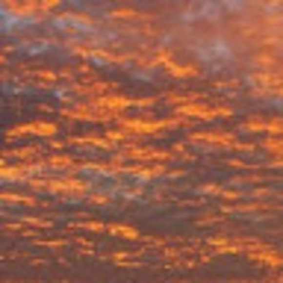 Profile Picture of Jamie Humphreys (@jamie_humphreys) on Poshmark