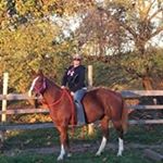 Profile Picture of Tiffany Neal (@starline_kennel) on Instagram