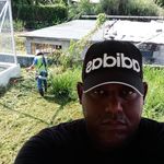 Profile Picture of alex cuadra (@alex_guaracha) on Instagram