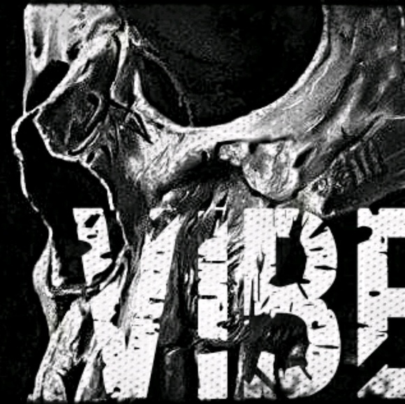 Profile Picture of Dustin Cottongim (@doostin7) on Poshmark