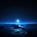 Profile Picture of Bo Pfeiffer (@bo.pfeiffer.94) on Facebook