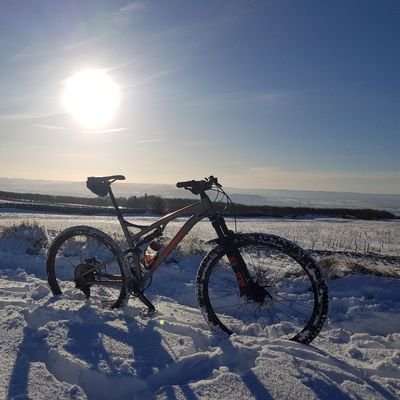 Profile Picture of Matt Tickle (@petoria56) on Twitter