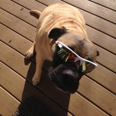 Profile Picture of Brian Reffner (@BrianReffner) on Twitter