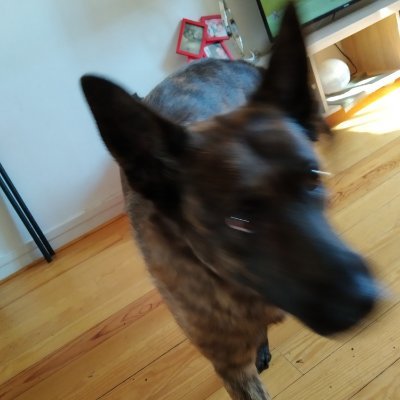 Profile Picture of Monia Martin--Oumaou (@MoniaOumaou) on Twitter