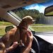 Profile Picture of Annette Denton (@denton975) on Pinterest