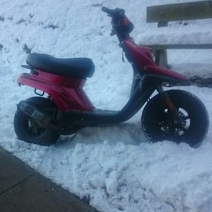 Profile Picture of Jeremy Scarse (@jeremyscarse) on Tiktok