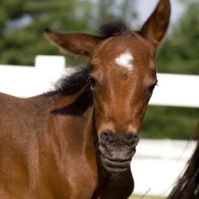 Profile Picture of Scott Bogue (@scott_bogue) on Twitter