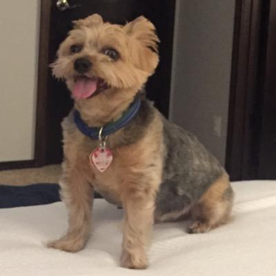 Profile Picture of Brian Von Boo (@MrBoo1974) on Twitter