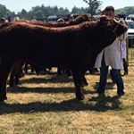 Profile Picture of Joseph Maginn (@josephmaginn) on Instagram