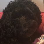 Profile Picture of Jamie Conley (@conley_jamie) on Instagram