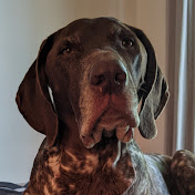 Profile Picture of Amy Howe (@MissAmyHowe) on Youtube