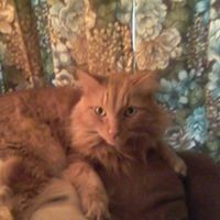 Profile Picture of Debby Randall (@debby-randall) on Quora