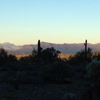 Profile Picture of Dan Oakes (@DanOakes64) on Twitter