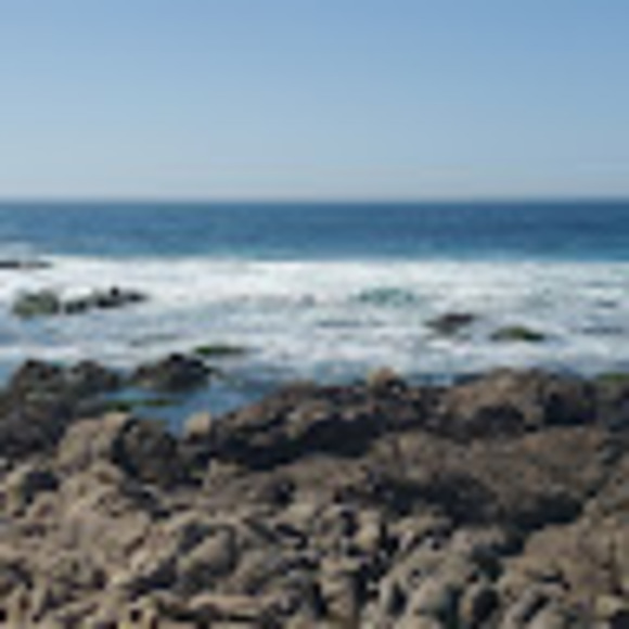 Profile Picture of Taylor Keniston (@tokentaylor) on Poshmark