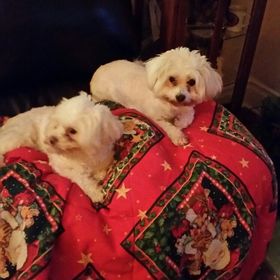 Profile Picture of Christal Haverstock (@chaverlpn) on Pinterest