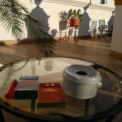 Profile Picture of YinChao (@YinChaoBUG) on Twitter