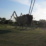 Profile Picture of Dawn Knight (@crazolade) on Instagram