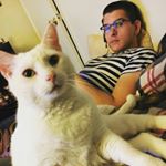 Profile Picture of Jeremy Bernheisel (@michaeljfoxftw) on Instagram