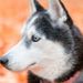 Profile Picture of JONATHAN ROTUNDO (@22rotundojonathan) on Pinterest