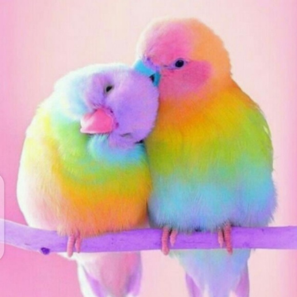 Profile Picture of Cody Boyce (@codyscrafts) on Poshmark