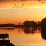 Profile Picture of Kristi Cliff Payne (@kristicliffpayne) on Instagram