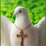 Profile Picture of Joyce Bowman (@Joyce-Bowman) on Facebook