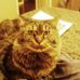 Profile Picture of Rob Gair (@rob.gair.71) on Facebook