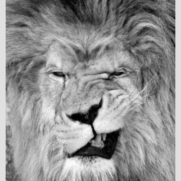 Profile Picture of Kayla Buggeln (@kluhbugg) on Poshmark