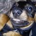 Profile Picture of Stanley Jack Robb (@stanley.j.robb) on Facebook