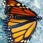 Profile Picture of Hayden (@gabriel_emmett50518) on Instagram