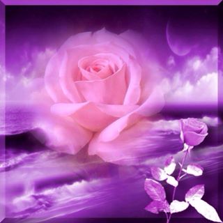 Profile Picture of Dawn New (@Dawn-New) on Facebook