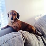 Profile Picture of Cathy Oreilly (@cathy.oreilly) on Instagram