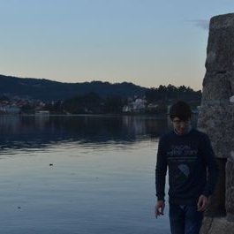 Profile Picture of Raul Dominguez Rivas (@peter1169) on Twitter