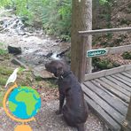 Profile Picture of Michael Schunk (@michael.schunk.90) on Facebook