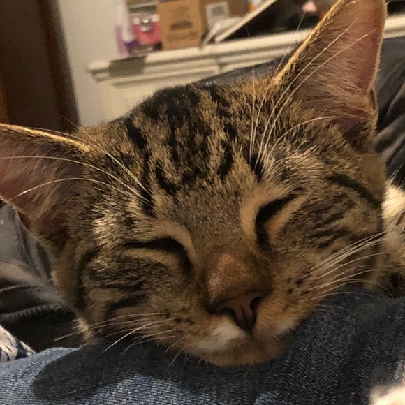 Profile Picture of Alivia Haag (@aliviagh) on Poshmark