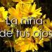Profile Picture of Griselda Cordova (@griselda.cordova.71) on Facebook