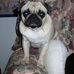 Profile Picture of Janet Manney (@janet.manney.3) on Facebook