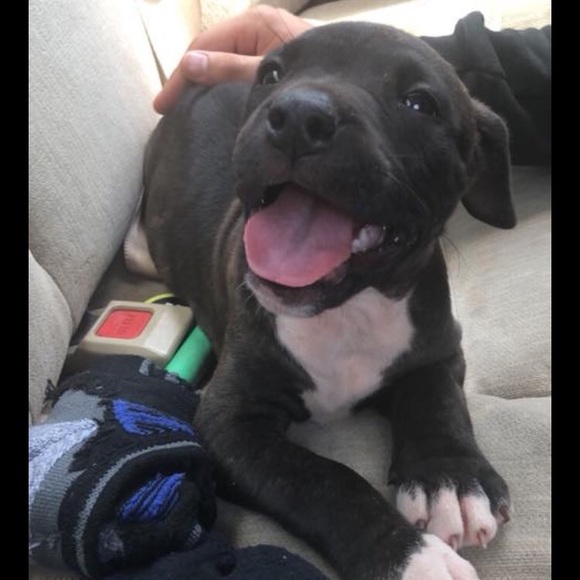 Profile Picture of Jacob Blankenship (@jacob3799) on Poshmark