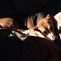 Profile Picture of Angela Mcintyre (@angela-mcintyre-9) on Quora