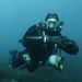 Profile Picture of Patrick Farkas (@farkas1623) on Pinterest