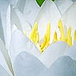 Profile Picture of jdstillwell01 (@jdstillwell01) on Flickr