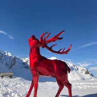 Profile Picture of Leylan Akyüz Aktüre (@leylan-akyüz-aktüre) on Quora